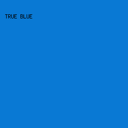 0979D4 - True Blue color image preview