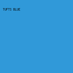 3099D9 - Tufts Blue color image preview