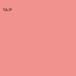 F2928F - Tulip color image preview
