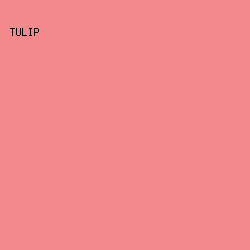 F4898C - Tulip color image preview