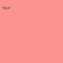 FB928E - Tulip color image preview