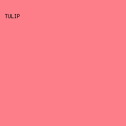 FD7E89 - Tulip color image preview