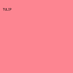 FD8591 - Tulip color image preview