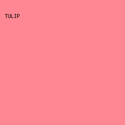 FF8793 - Tulip color image preview