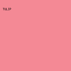 f48995 - Tulip color image preview