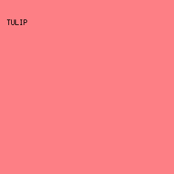 fd7f85 - Tulip color image preview