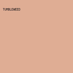 DFAD93 - Tumbleweed color image preview