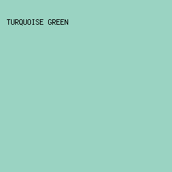 9AD3C2 - Turquoise Green color image preview