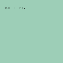9DCEB7 - Turquoise Green color image preview