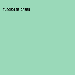 9ad9b9 - Turquoise Green color image preview