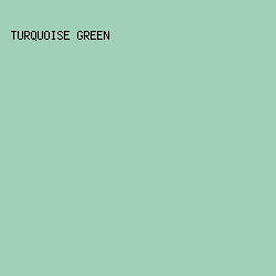 A0D1B7 - Turquoise Green color image preview