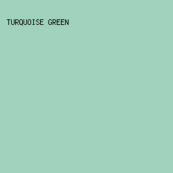 A0D2BE - Turquoise Green color image preview