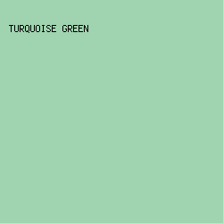 A0D3B0 - Turquoise Green color image preview