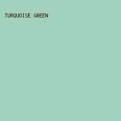 A2D2BF - Turquoise Green color image preview