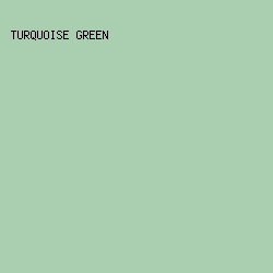 A9CFB0 - Turquoise Green color image preview