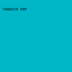 00B6C7 - Turquoise Surf color image preview