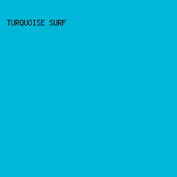 00B7D7 - Turquoise Surf color image preview
