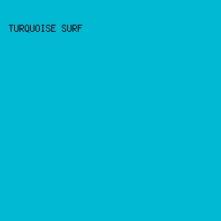 00b9d3 - Turquoise Surf color image preview