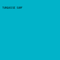 01B3C9 - Turquoise Surf color image preview