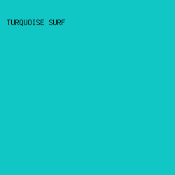 10c7c6 - Turquoise Surf color image preview