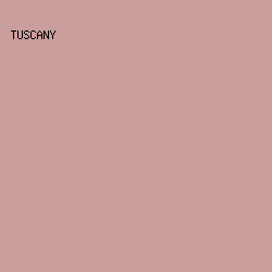 CB9E9E - Tuscany color image preview