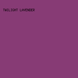 873B75 - Twilight Lavender color image preview
