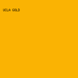 fab303 - UCLA Gold color image preview
