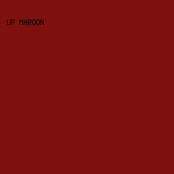 7E110E - UP Maroon color image preview