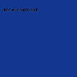 13388f - USAF Air Force Blue color image preview