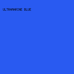 295AF1 - Ultramarine Blue color image preview