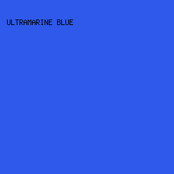 2F59EA - Ultramarine Blue color image preview