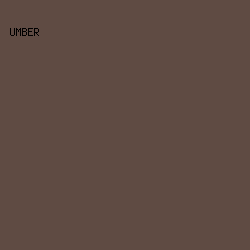 5F4B43 - Umber color image preview