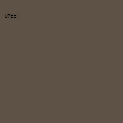 5e5247 - Umber color image preview