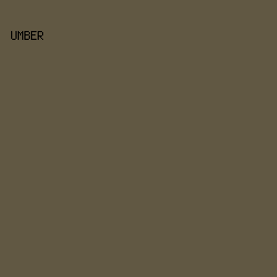 615843 - Umber color image preview