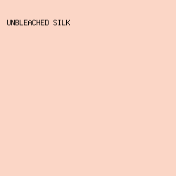 fbd6c6 - Unbleached Silk color image preview