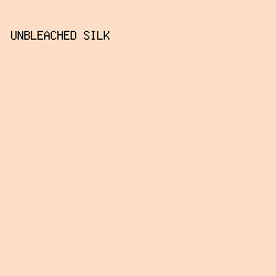 fbdec5 - Unbleached Silk color image preview