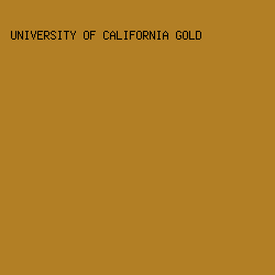 B27F25 - University Of California Gold color image preview