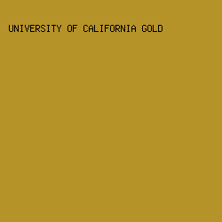 B69329 - University Of California Gold color image preview