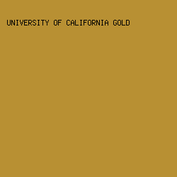 B89033 - University Of California Gold color image preview