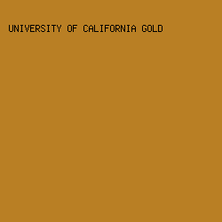 B97F24 - University Of California Gold color image preview