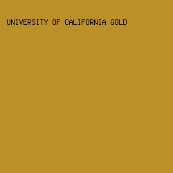 BC9029 - University Of California Gold color image preview
