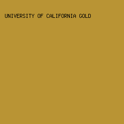 b99434 - University Of California Gold color image preview