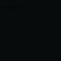 080B0B - Vampire Black color image preview