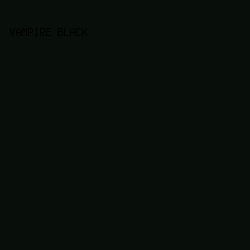 080e09 - Vampire Black color image preview