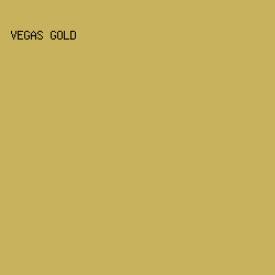 C9B25D - Vegas Gold color image preview