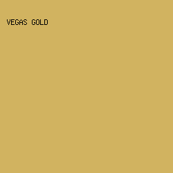 D1B360 - Vegas Gold color image preview