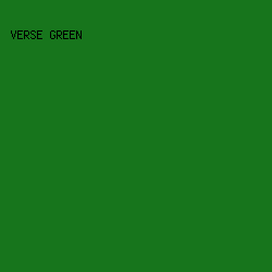 17751c - Verse Green color image preview
