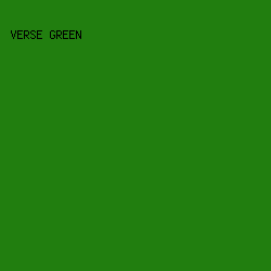 217E0F - Verse Green color image preview