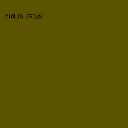 5A5401 - Violin Brown color image preview