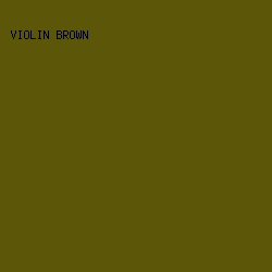 5C5708 - Violin Brown color image preview